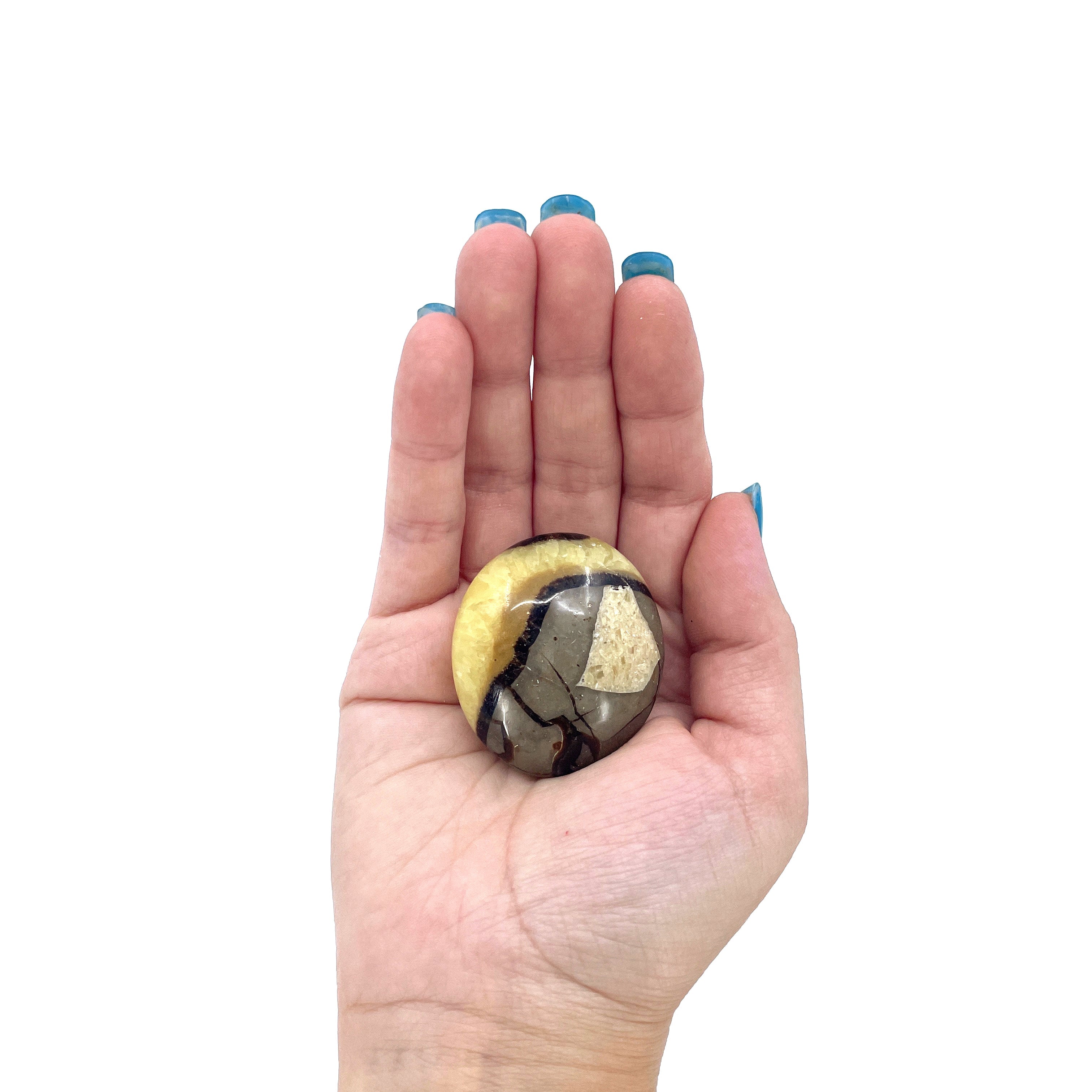 Septarian Palm Stone