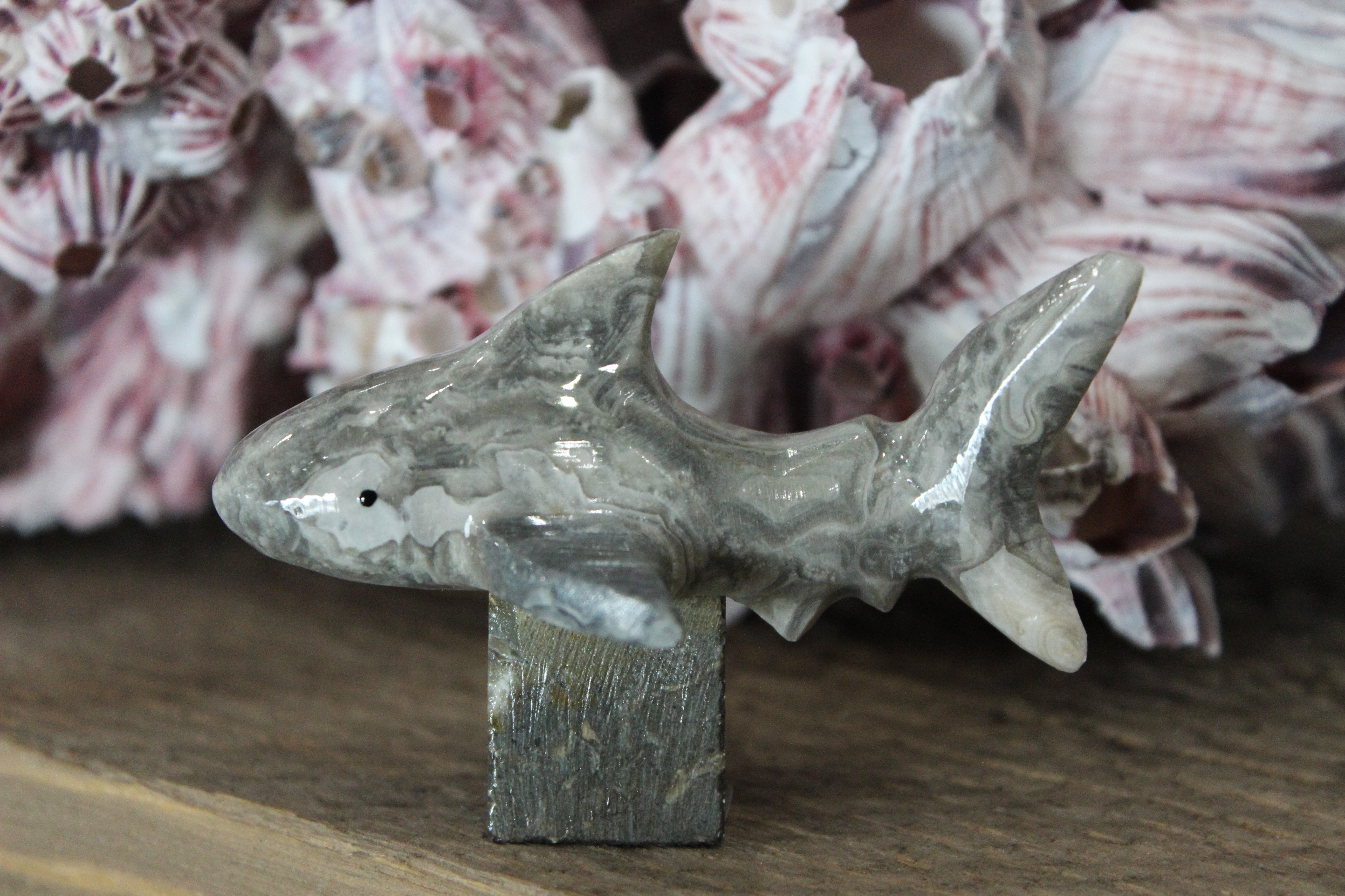 2'' Marble Shark With Stand