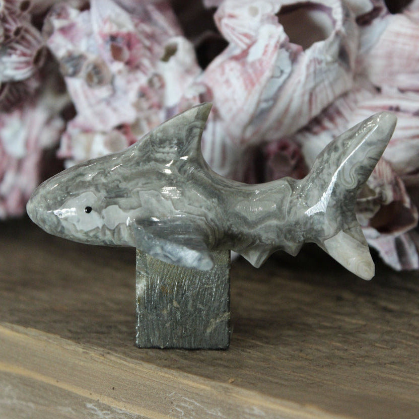 Tiburón de mármol de 2'' con soporte