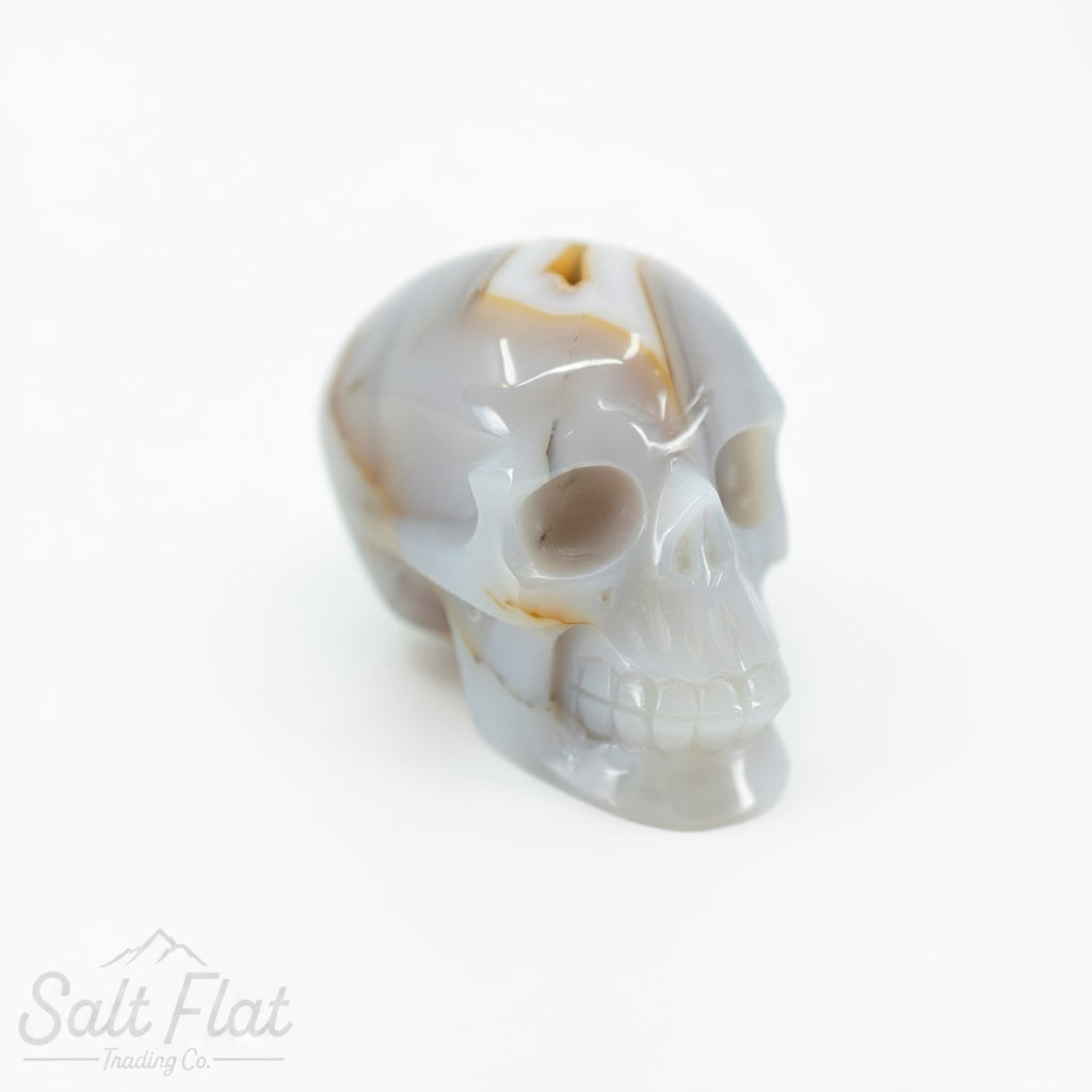 Calavera de cristal de 4" con caja