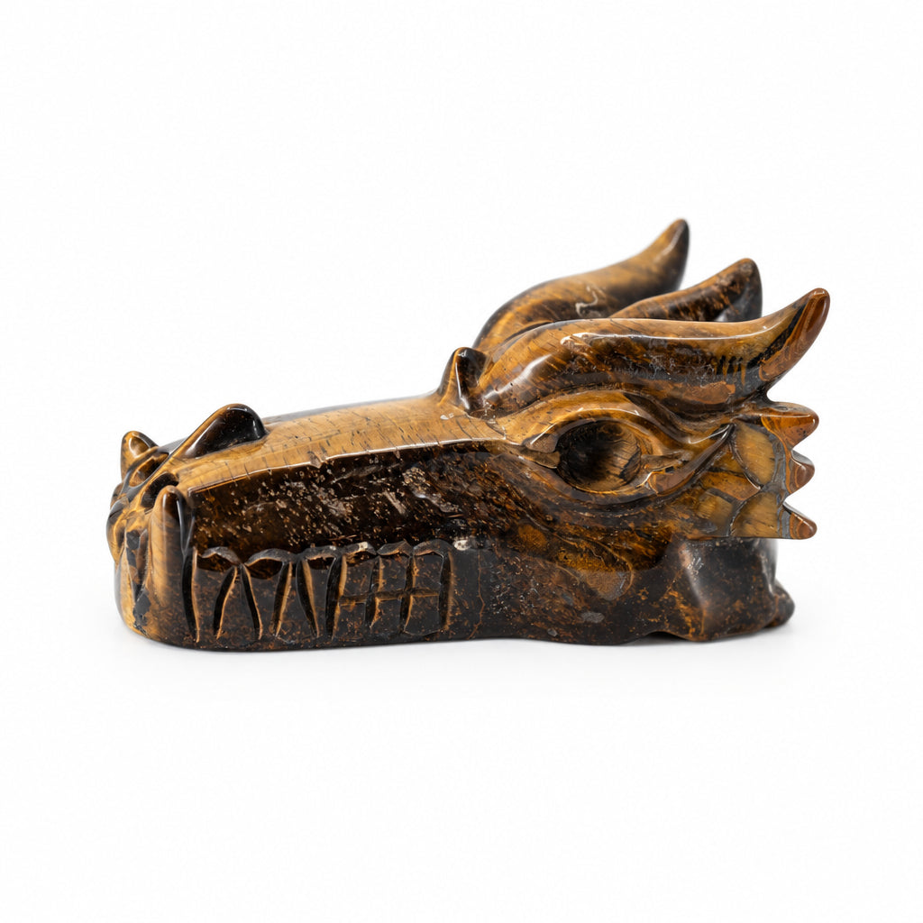 Crystal Dragon Skull