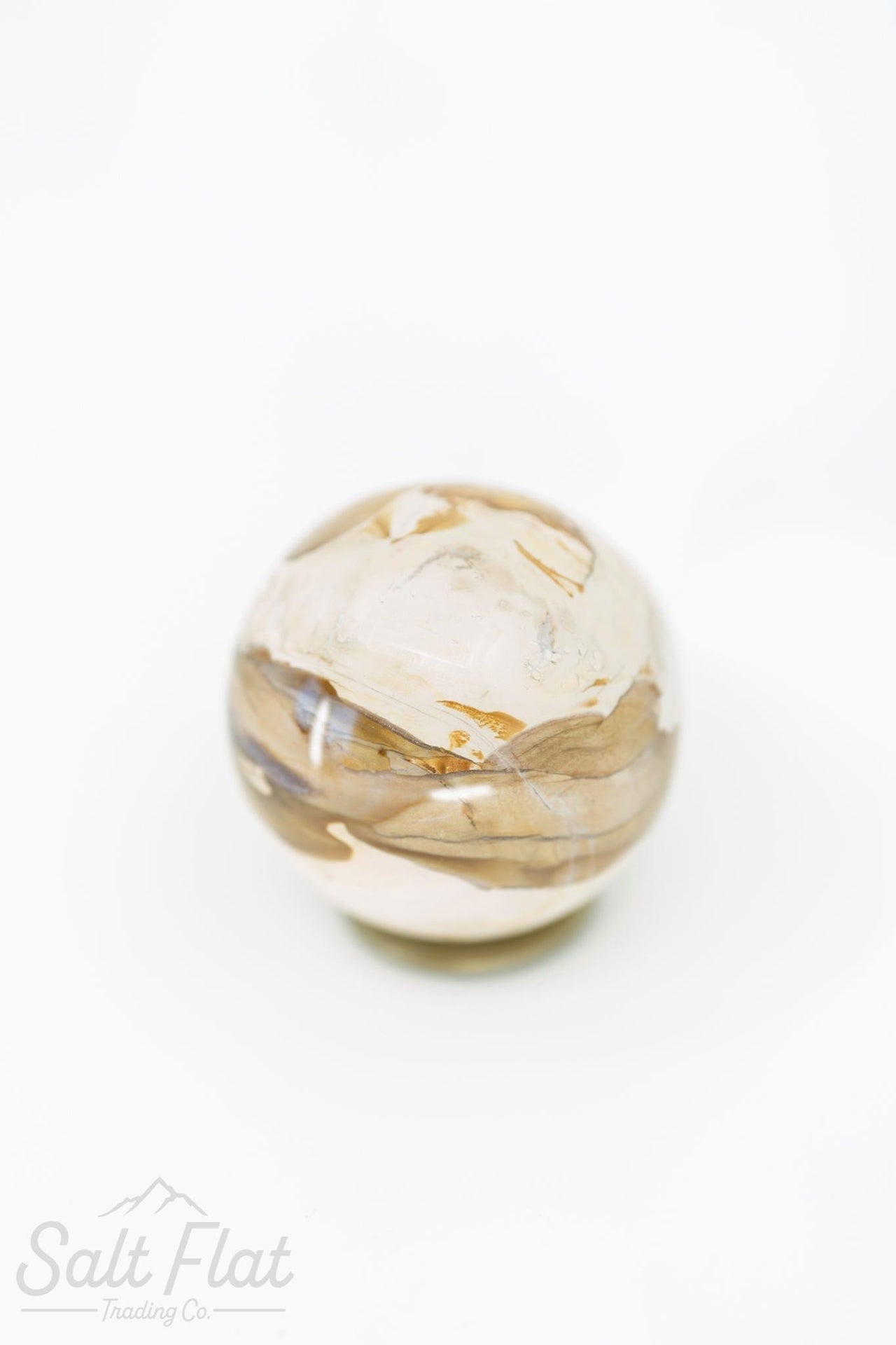 Petrified Wood Sphere
