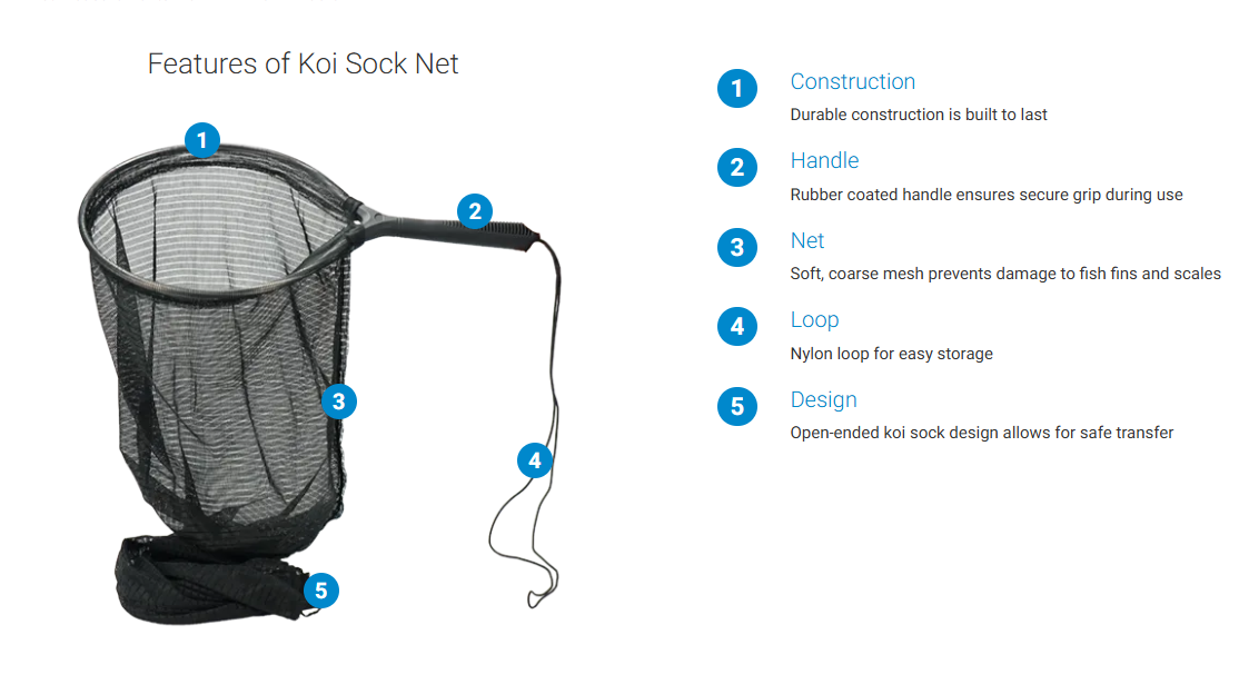 Koi Sock Net