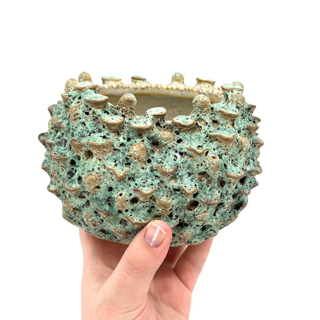 Sea Anemone Vase