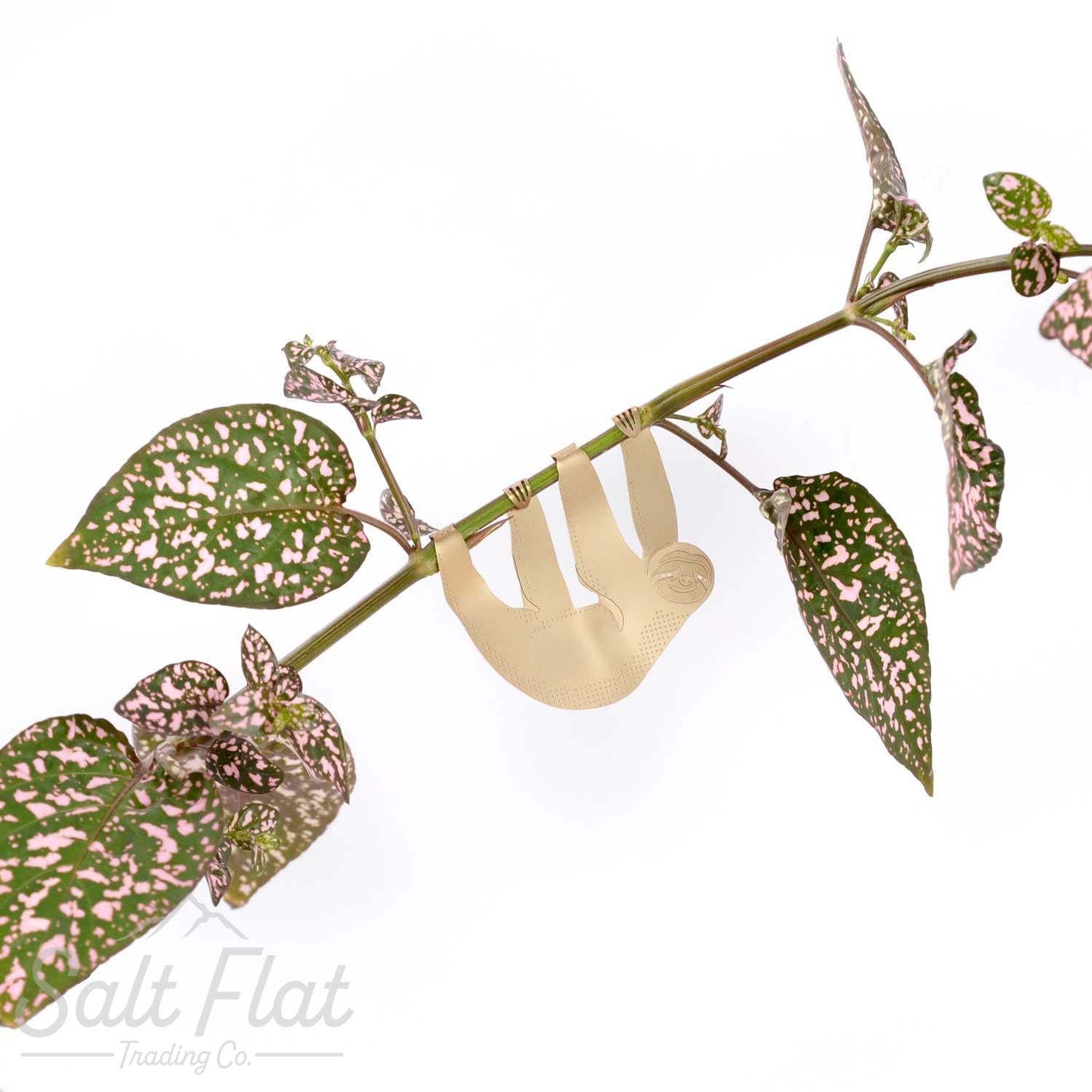 Plant Animals