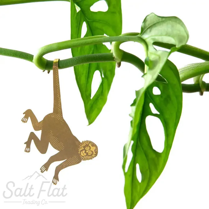 Plant Animals