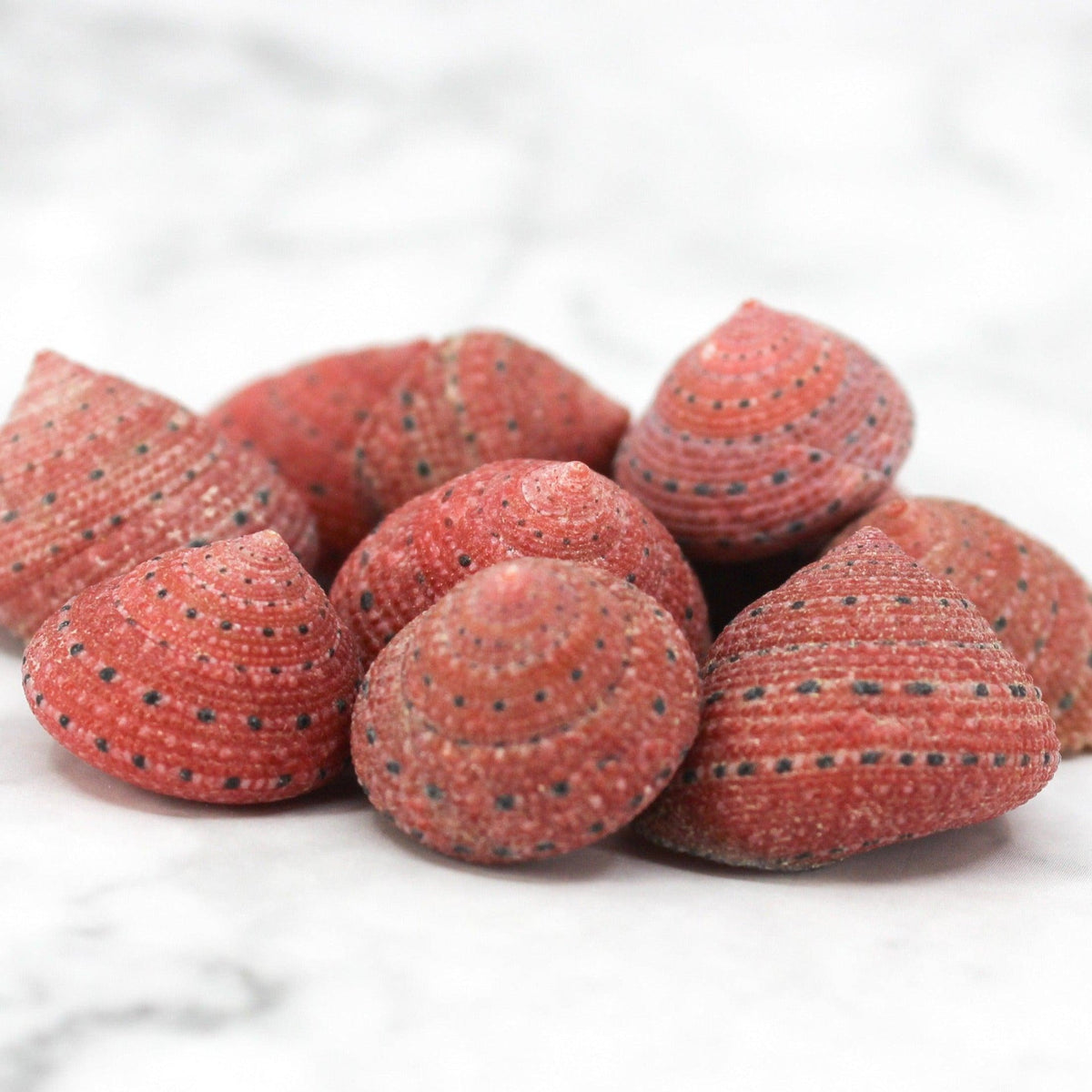 Strawberry Top 1-2cm