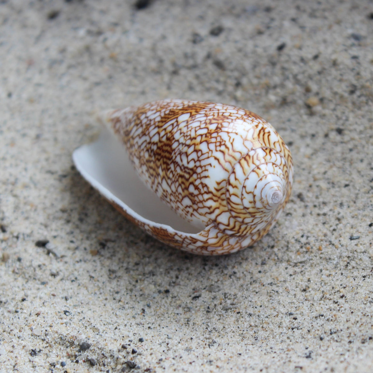 Textile Cone