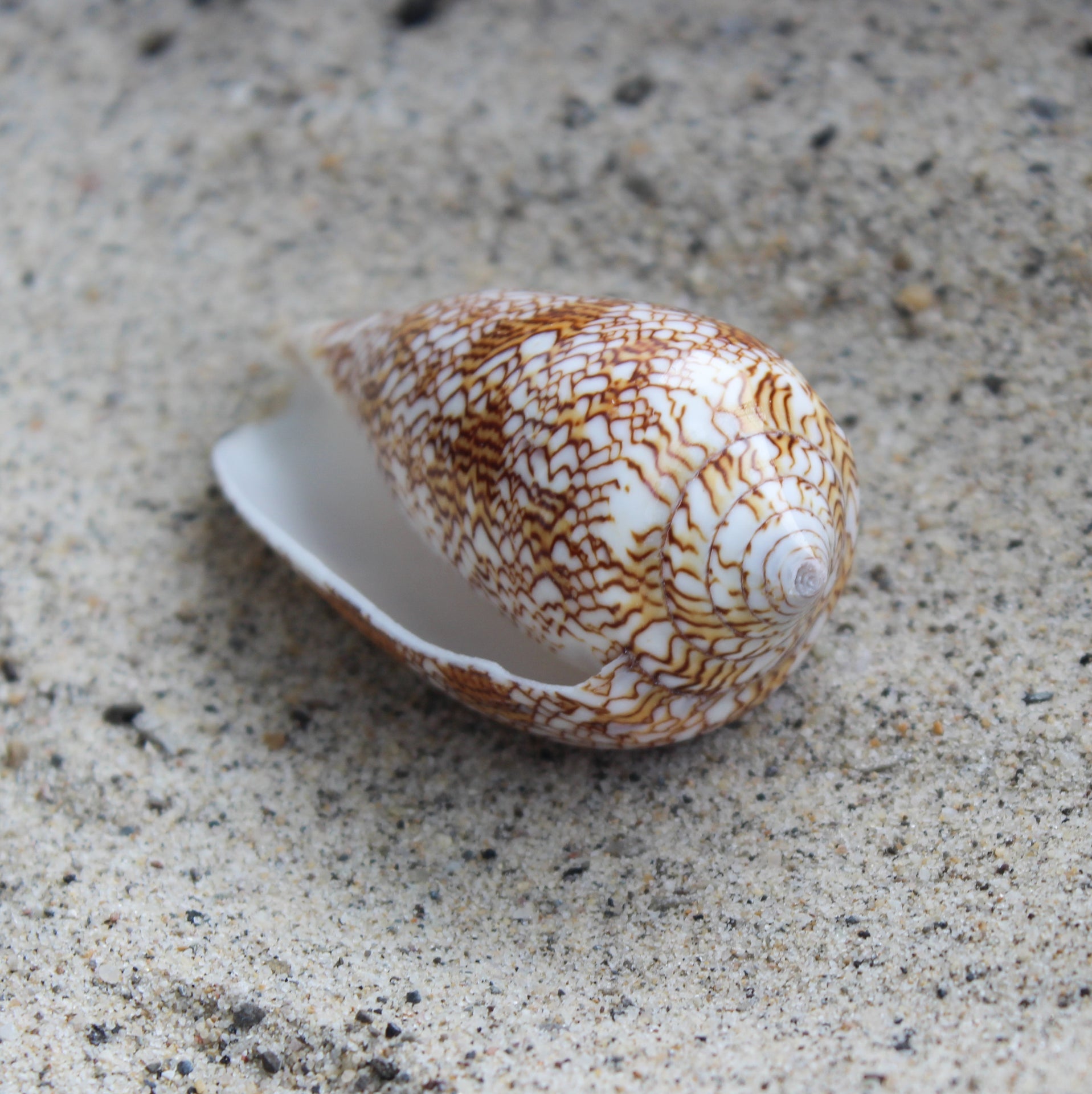 Textile Cone