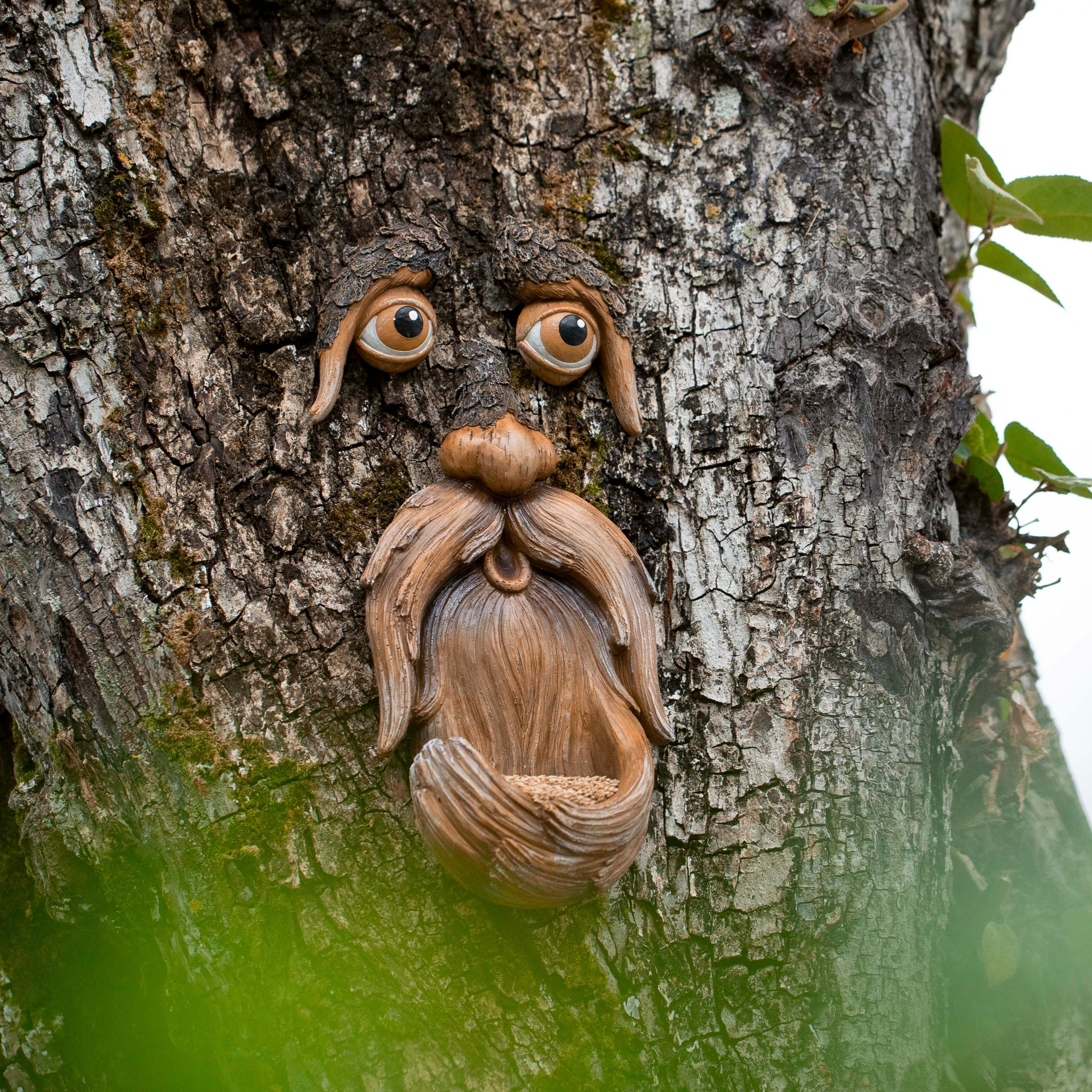 Tree Faces