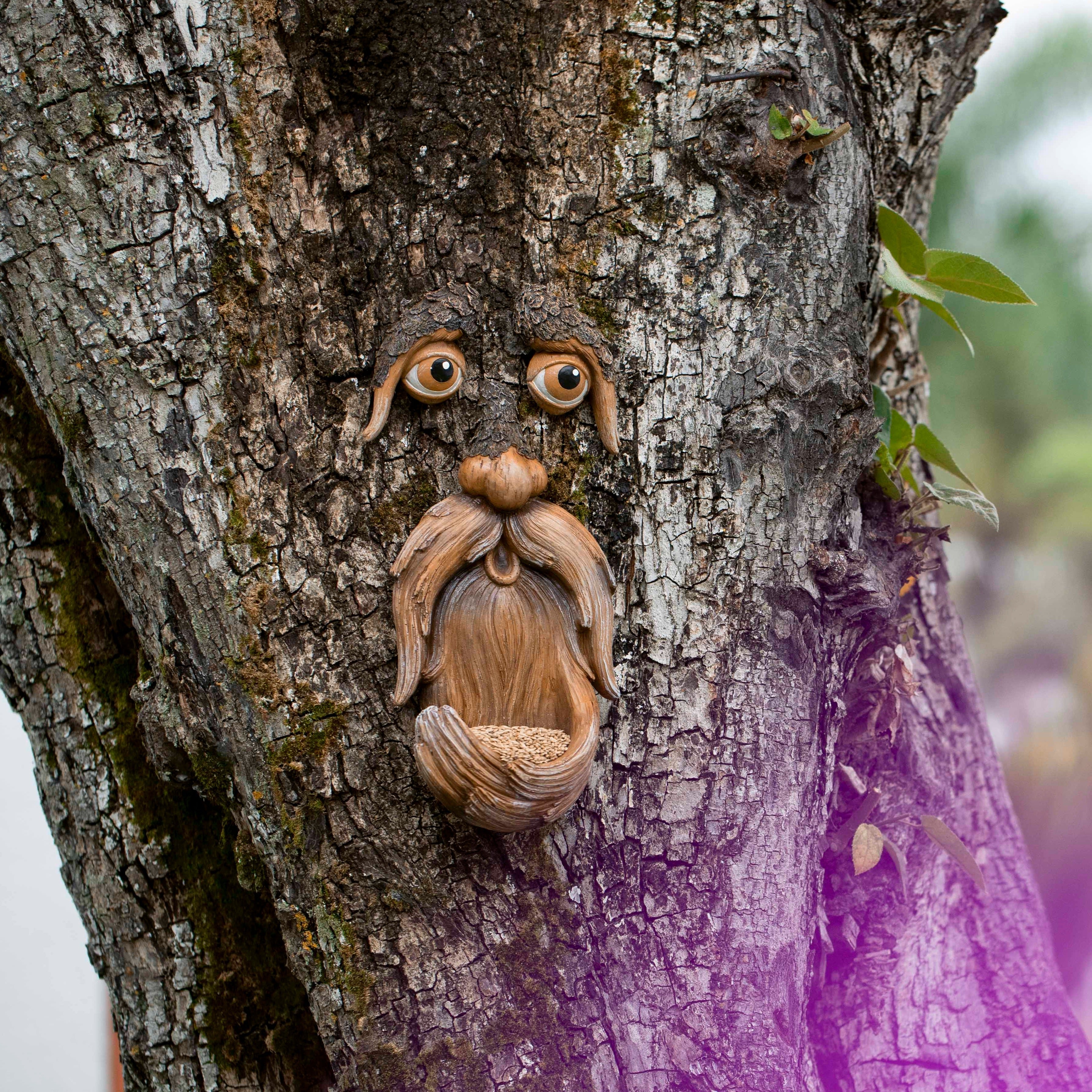 Tree Faces