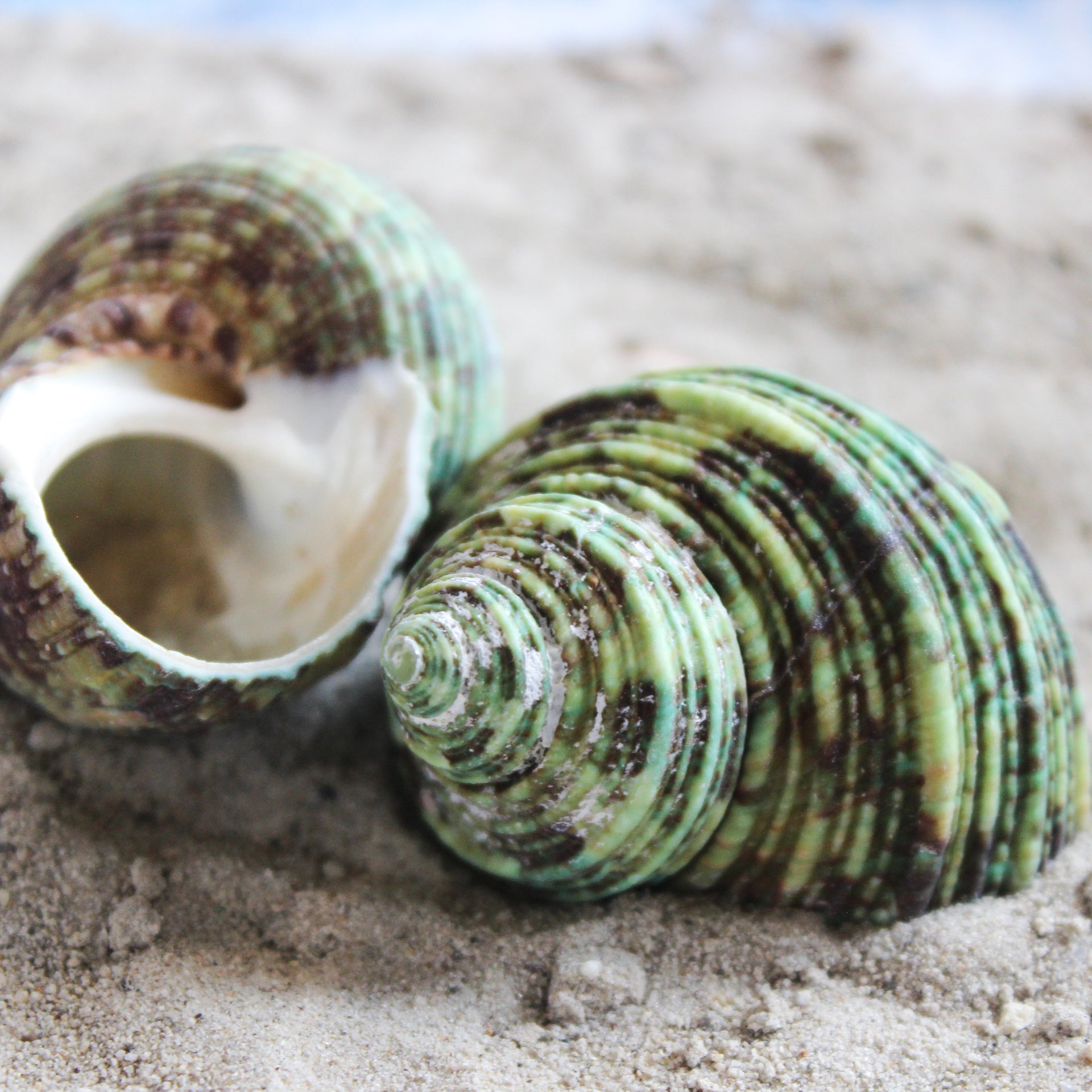 Unpolished Green Turbo 1.5-2"