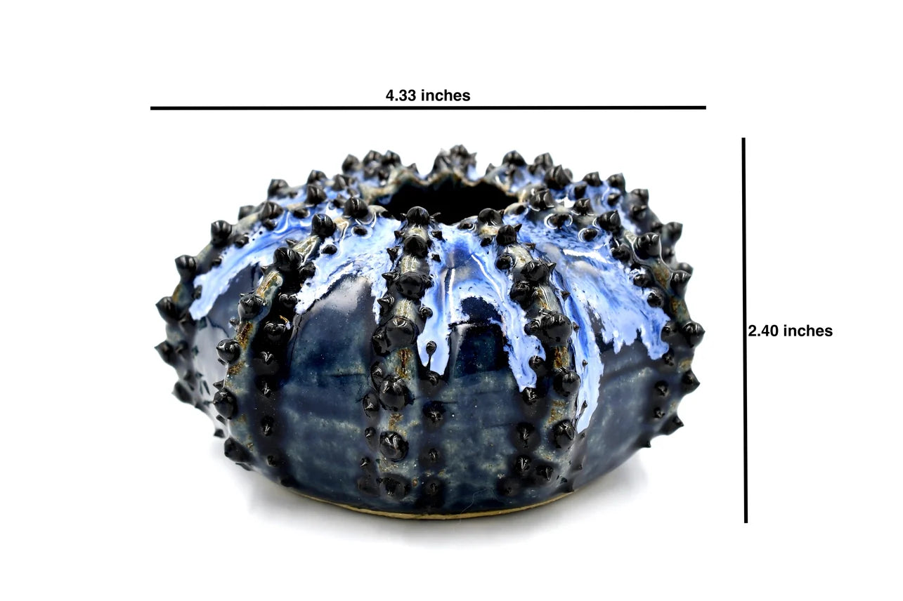 Sea Urchin Vase