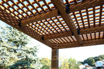 Pérgola de madera de viñedo