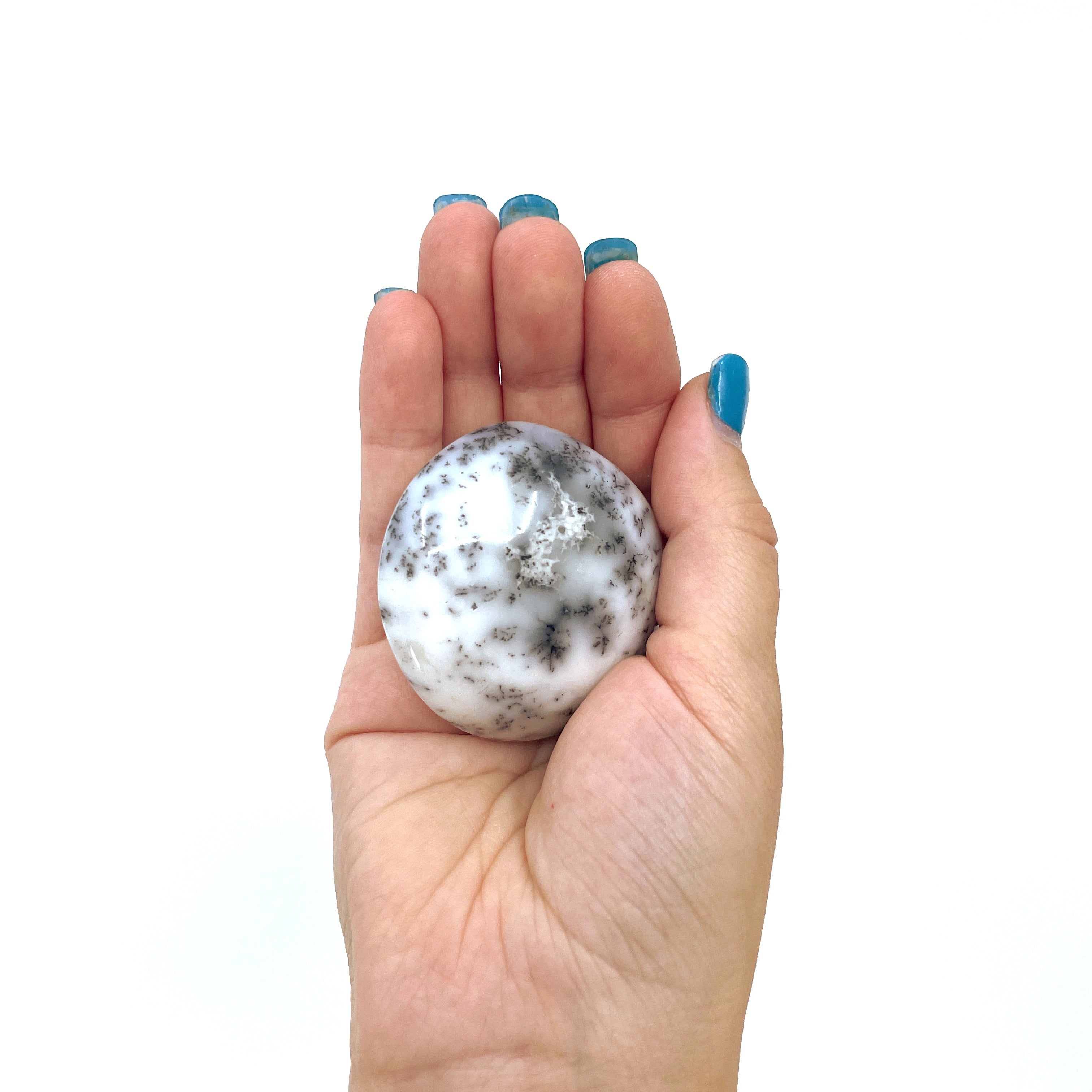 White Dendritic Agate Palm Stone