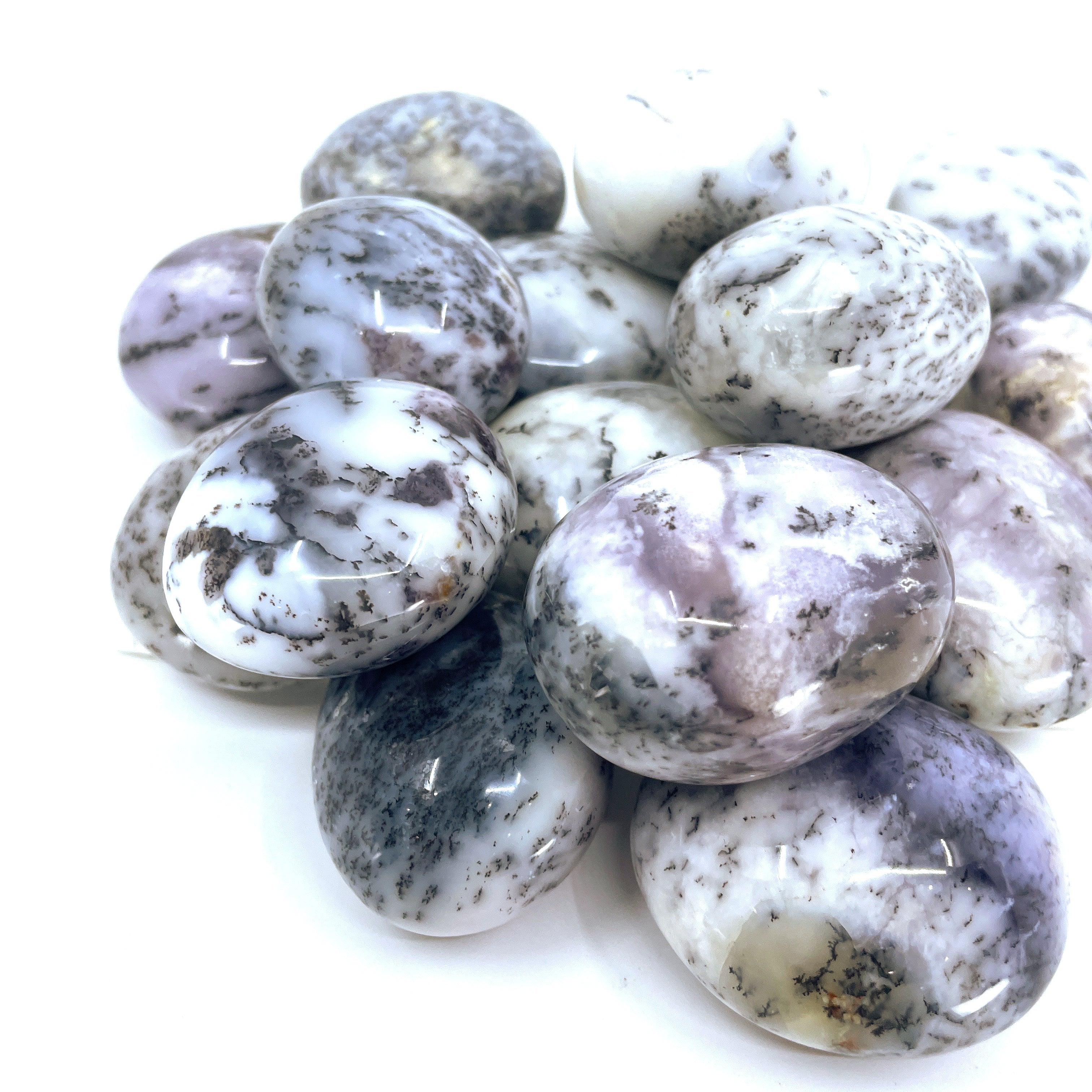 White Dendritic Agate Palm Stone