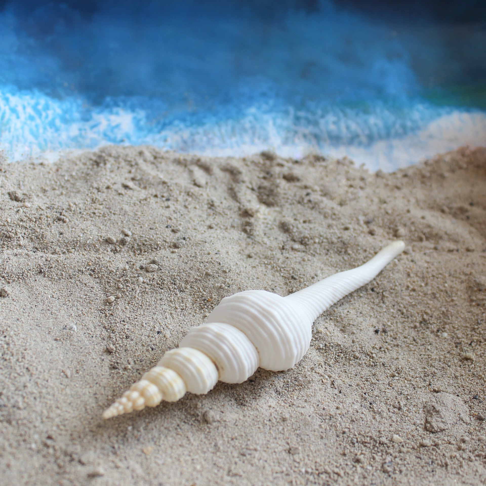 White Spindle 4-4.5"