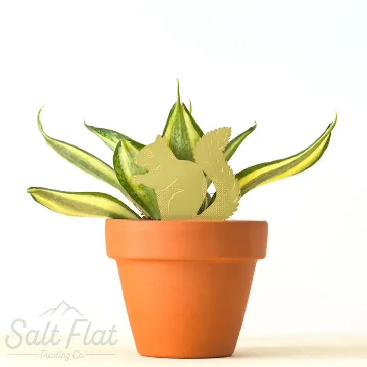 Plant Animals