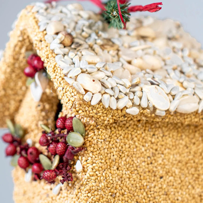 Mr. Bird Holiday Cottages