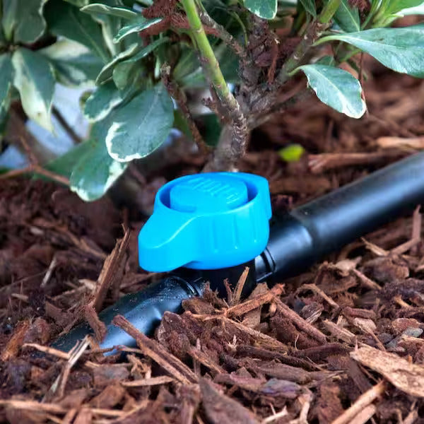 Válvula de cierre en línea con entrada y salida dentadas - 0,700 y 1/4"