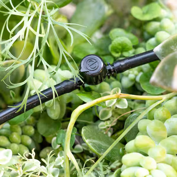 Válvula de cierre en línea con entrada y salida dentadas - 0,700 y 1/4"