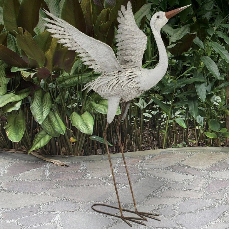 *COMING SOON* Garden Egret