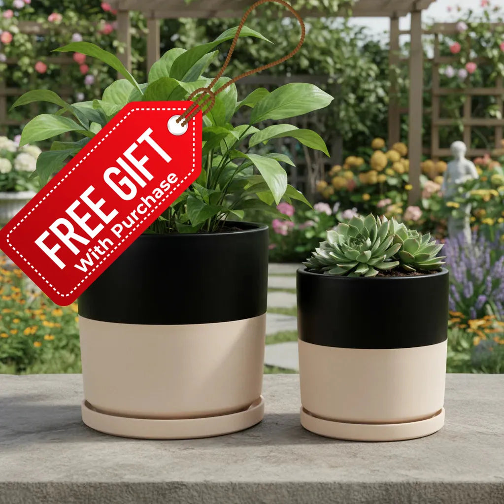 Cylinder Pots with Water Saucers