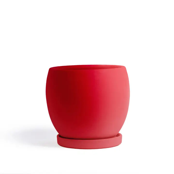 10" Bollé Pots with Water Saucers