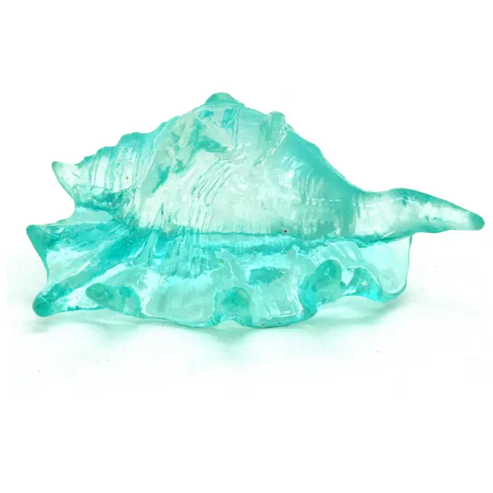 Conchas azules claras