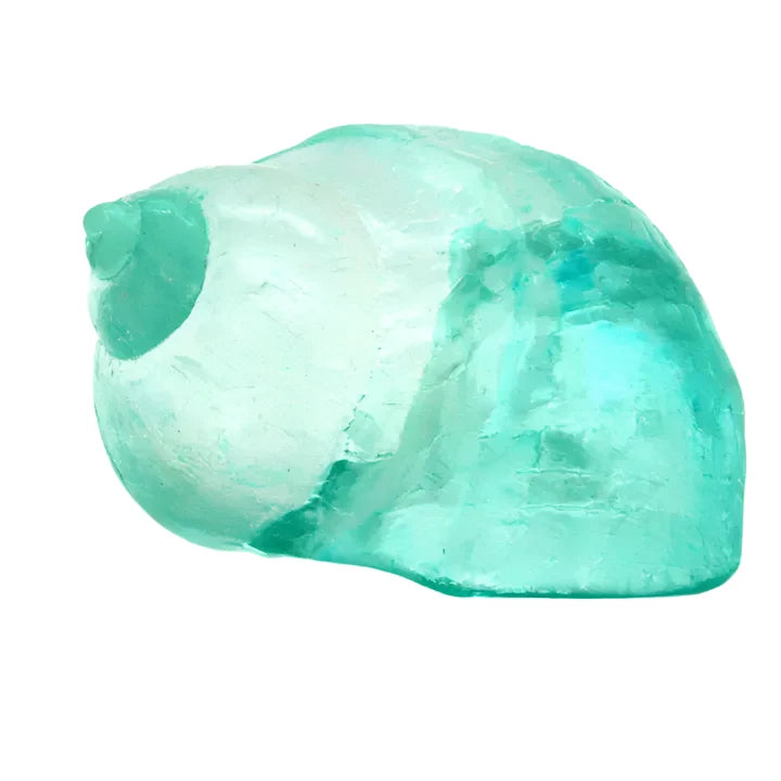 Conchas azules claras
