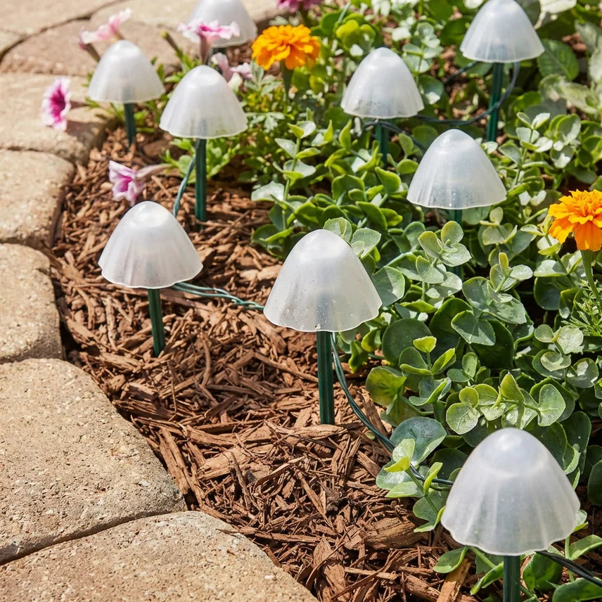 Solar Mushroom Lights | 10 in 1