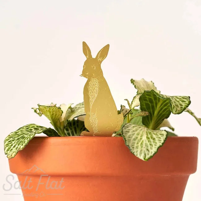 Plant Animals