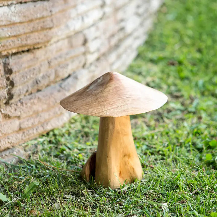 Hongos de raíz del árbol del té