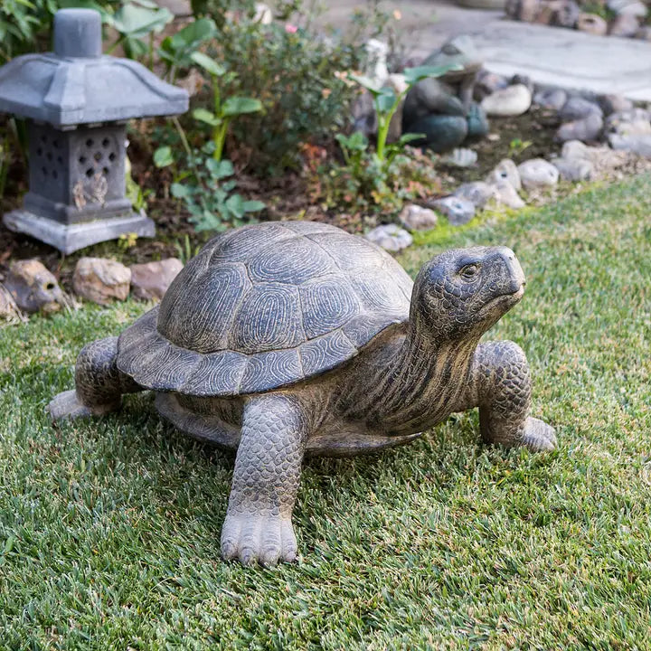 Garden Turtles