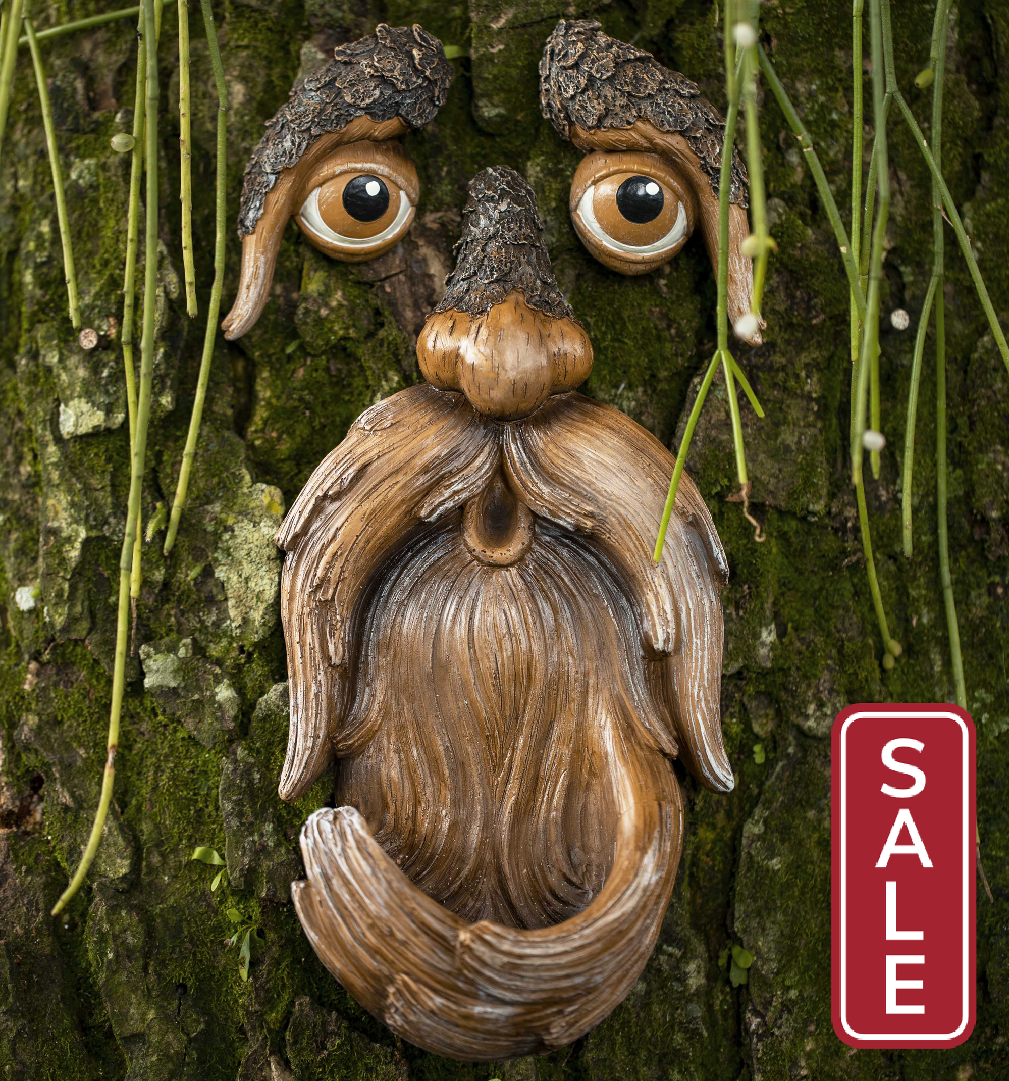 Tree Faces