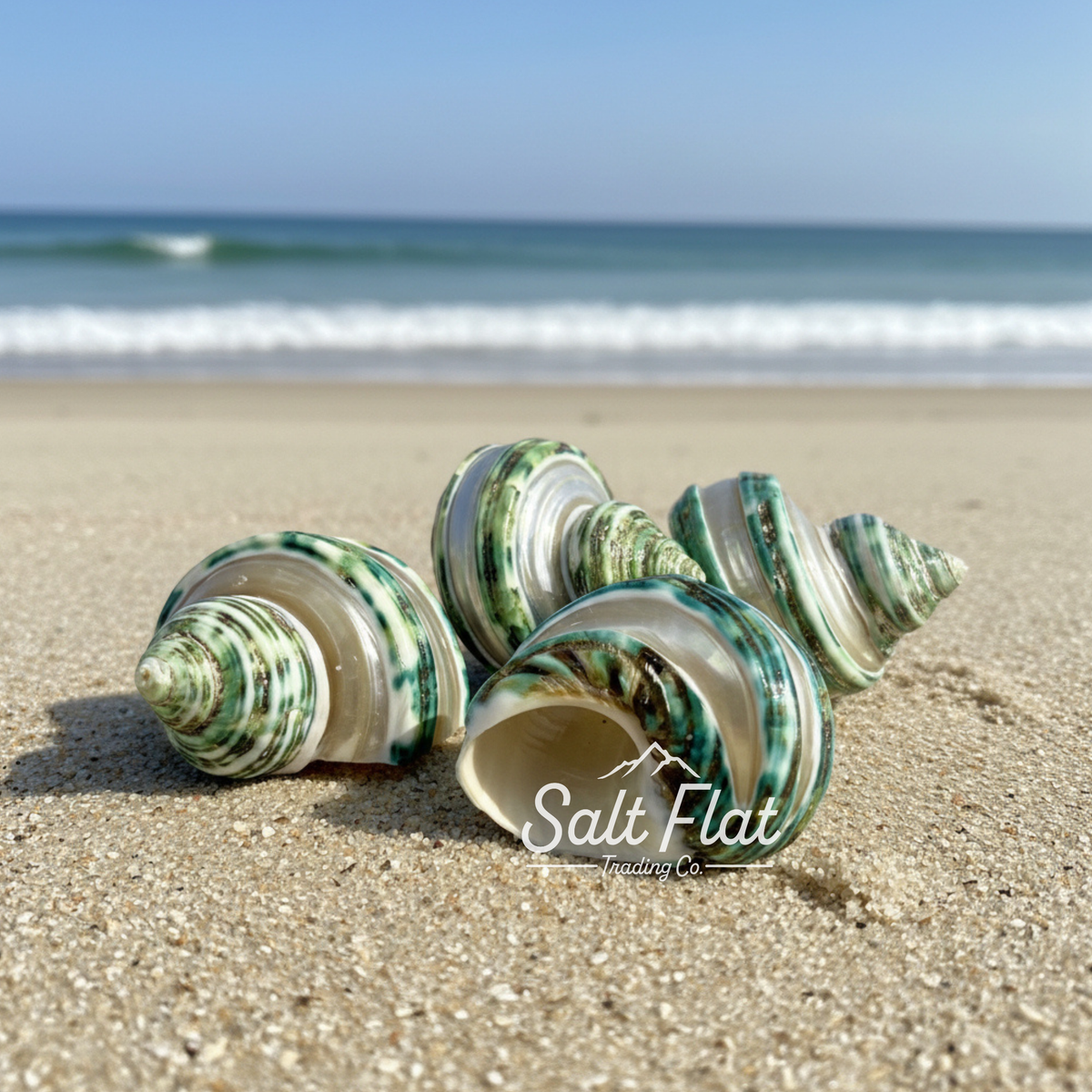 Green Turbo Banded 1.5-2"