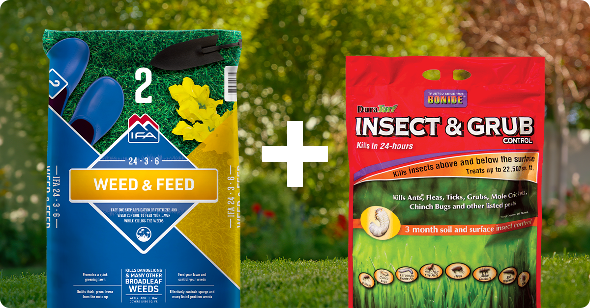 fertilizer for pot plants Weed & Feed 24-3-6 20 lb