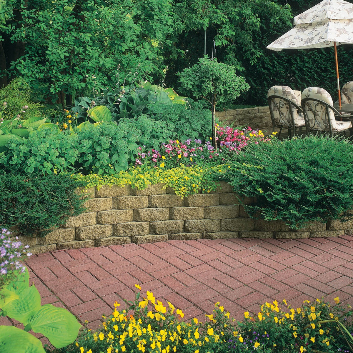 Holland Brick Paver