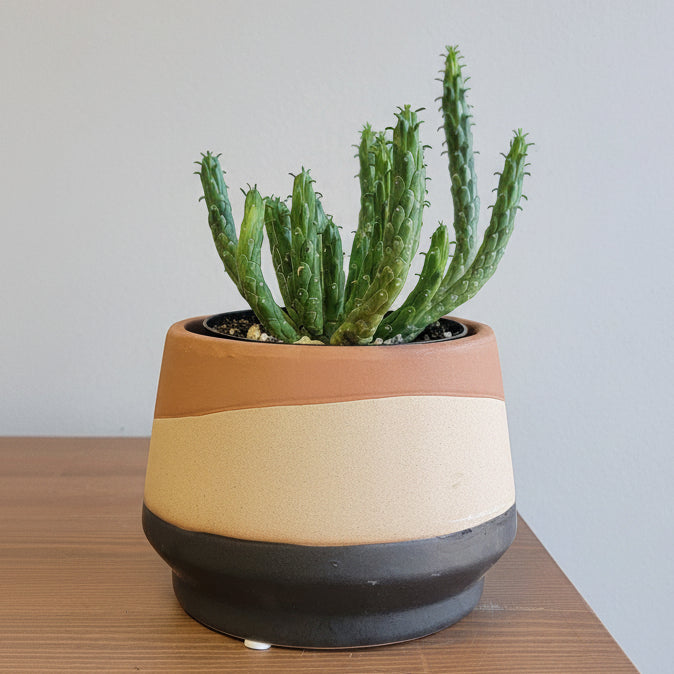 5" Mirage Planter