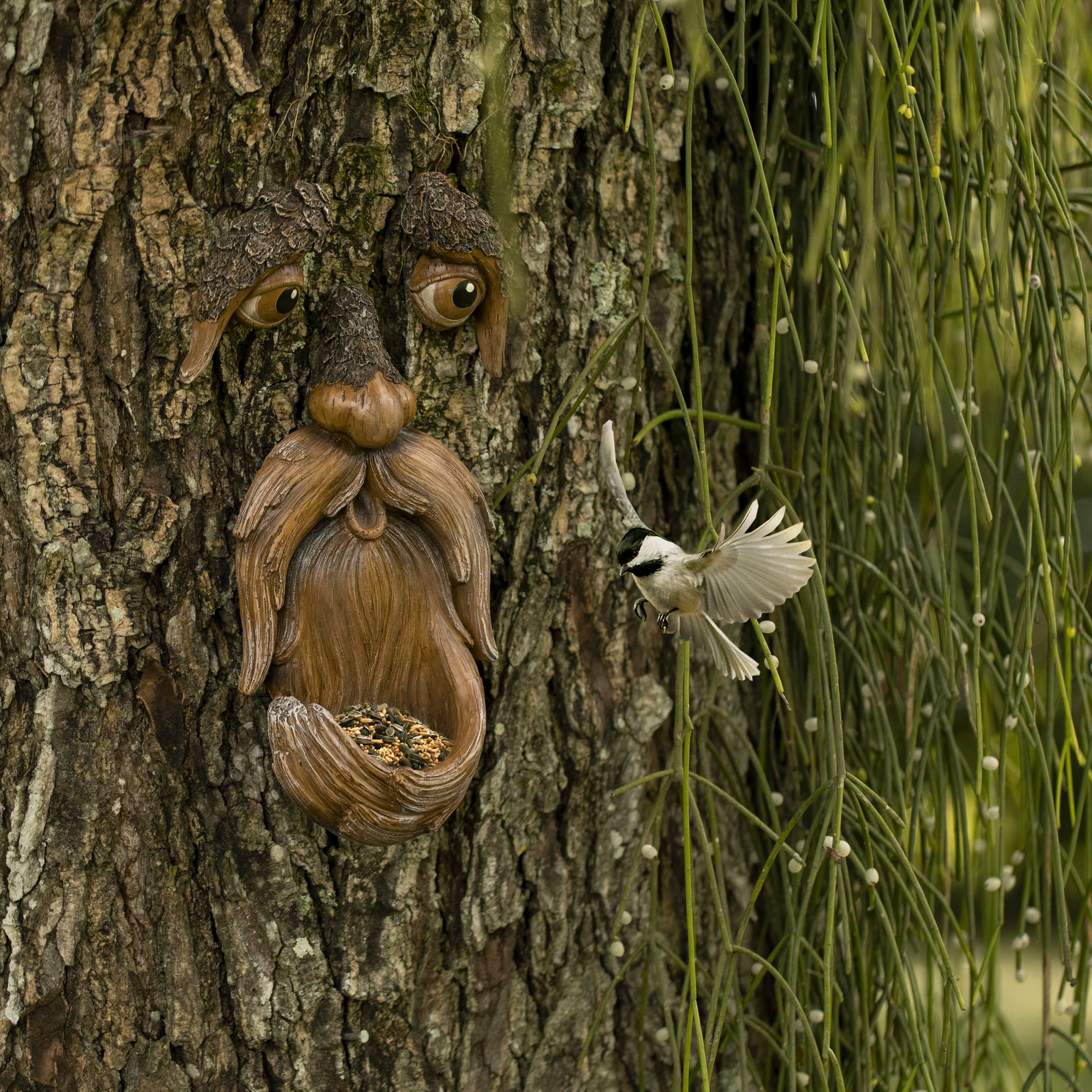 Tree Faces