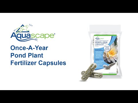 aquascape plant fertilizer Once-A-Year Pond Plant Fertilizer