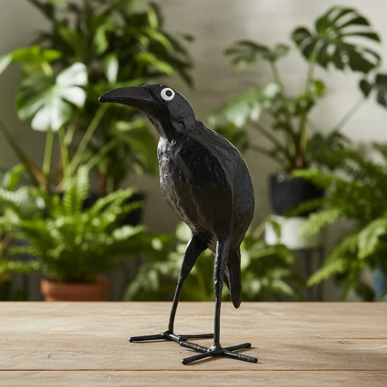 Aves de vainas de semillas