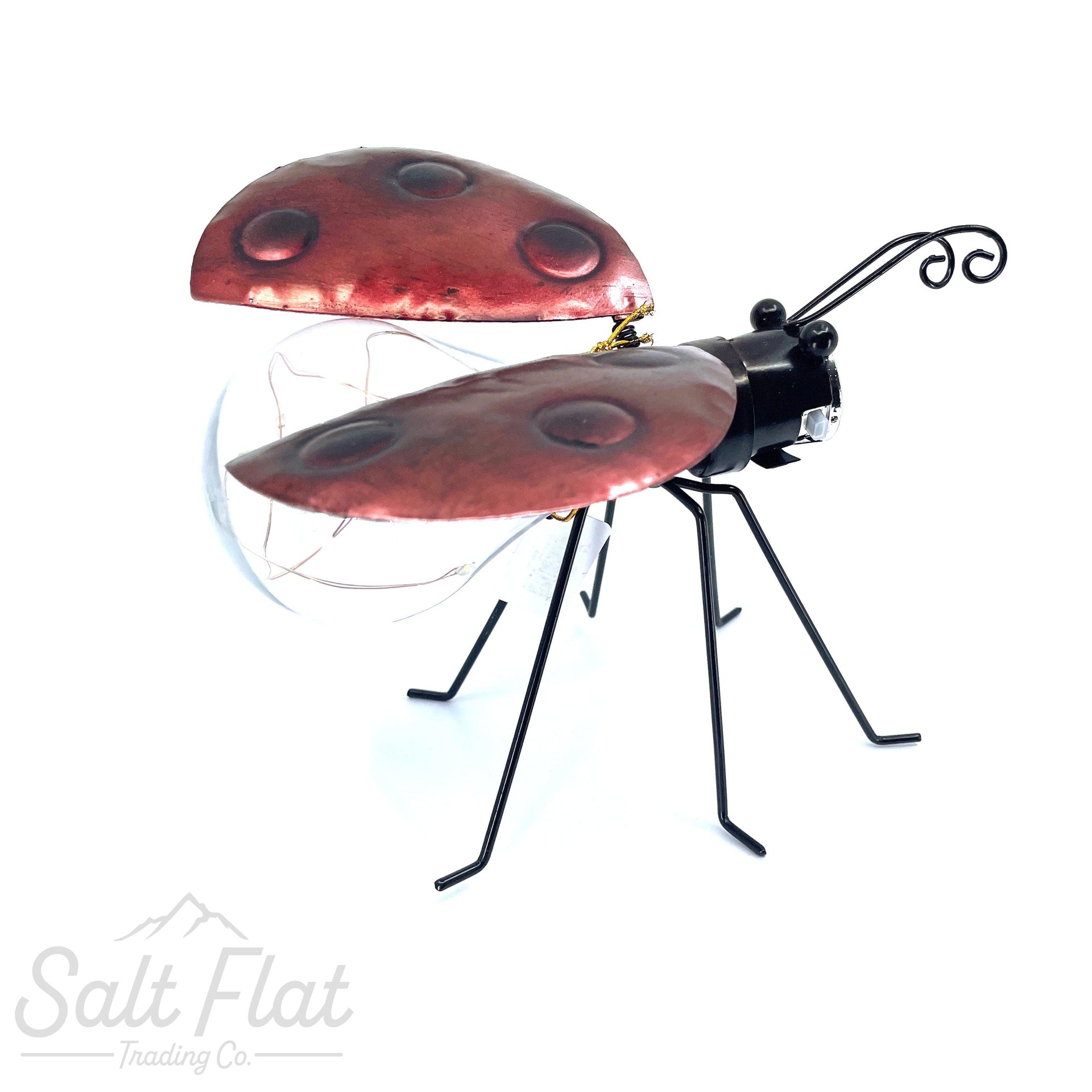 Insecto solar luminoso Ladybug