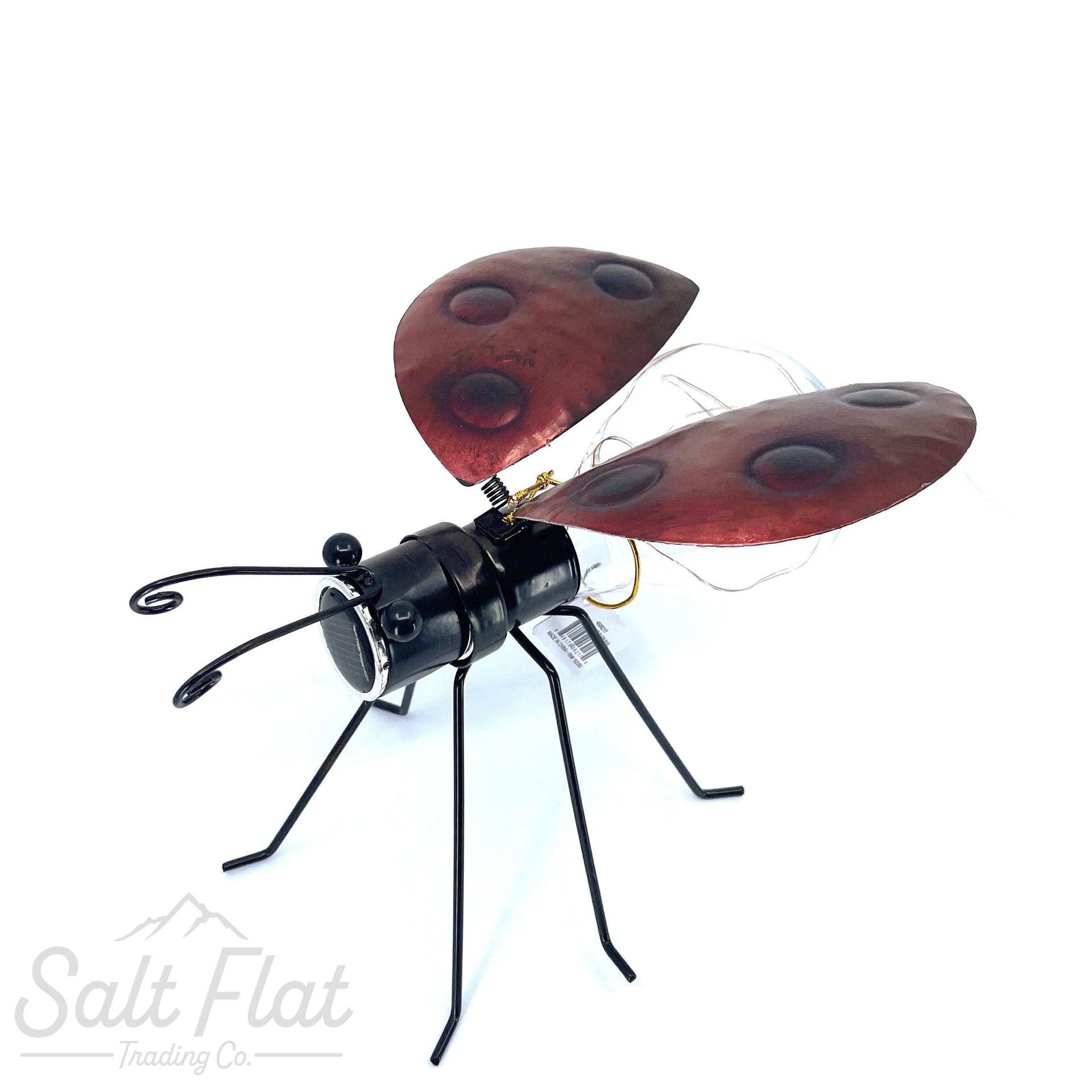 Insecto solar luminoso Ladybug