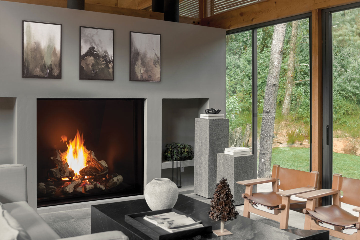 U55 Gas Fireplace IPI with Painted Liner & Remote