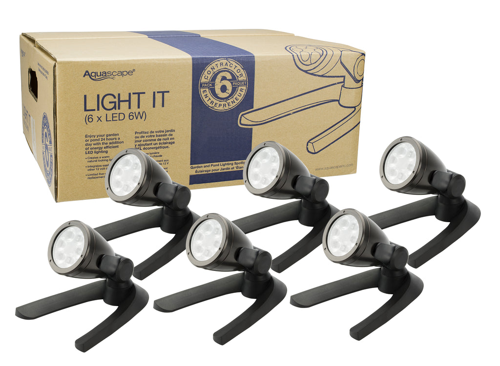Splaslights Spotlight